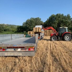 rimorchio-austeras (30)